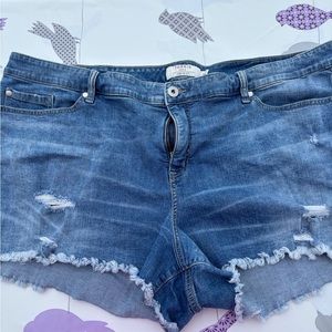 Torrid plus size 26 women’s raw edge distressed denim shorts very good condition